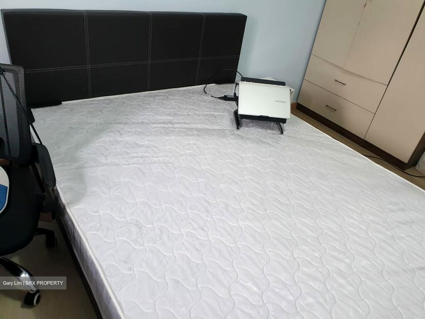 Lucky Plaza (D9), Apartment #500438001